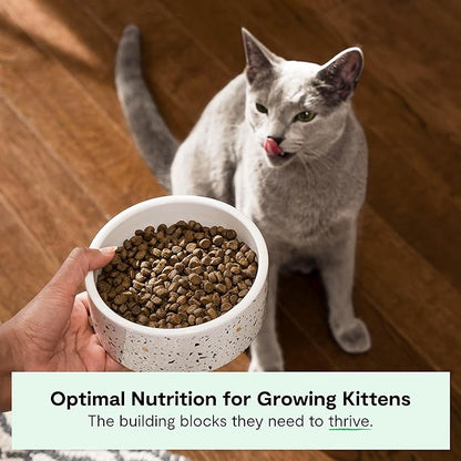 Open Farm, Grain Free Dry Kitten Food, Nutrient Dense Kibble with Protein, Vitamin A, Taurine, Naturally Occurring Fibers & Prebiotics, Homestead Turkey & Chicken Recipe for Kittens, 4lb Bag