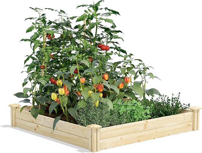 Greenes Fence Original Pine Raised Garden Bed, 4' x 4' x 7" (2-Pack) - Made in USA with American Pine