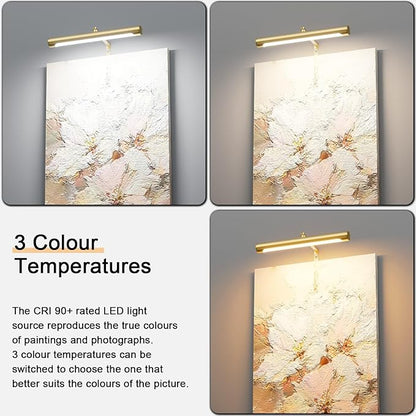 4W Picture Light Plug in, Dimmable Wall Light