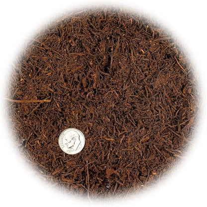 Premium New Zealand Tree Fern by GARDENERA - Orchid and Epiphytal Plants Growing Medium and Reptile Substrate - 3 Quart Bag