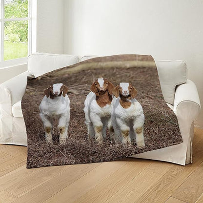 CafePress Smiling Goats Throw Blanket Super Soft Fleece Plush Throw Blanket, 60"x50"