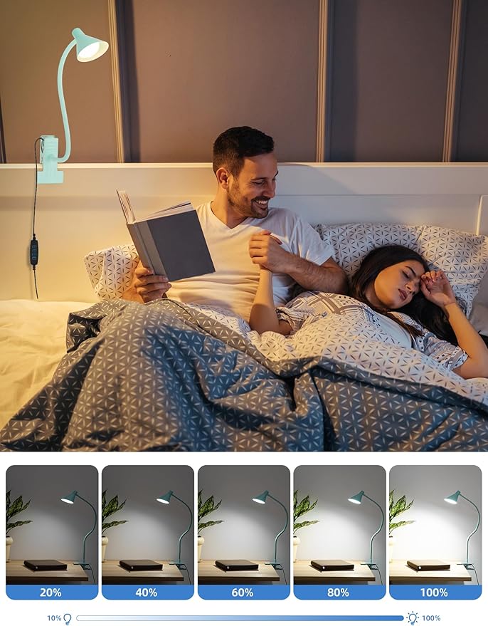 Reading Light for Bed, Clip-on Desk Lamp