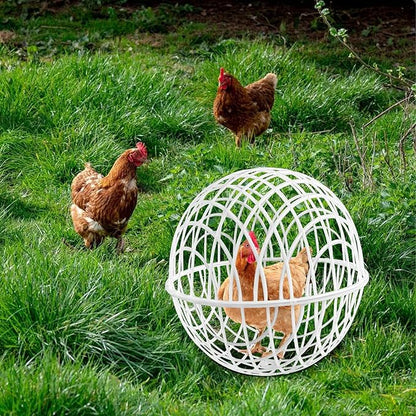 3 Pieces Ball-Shaped Movable Chicken Coop Farm Courtyard Outdoor Rolling Pigeon Bunny Duck Hutch Safety Balls Cage Preventing Dog Bites Trampled by Horse