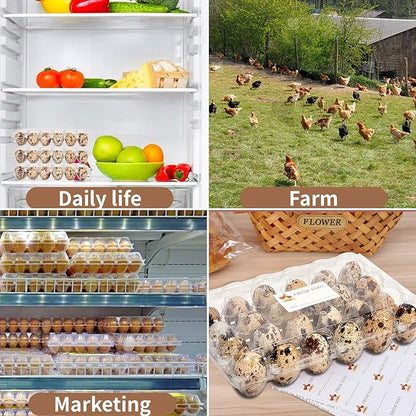 Quail Egg Cartons 90 Pack, 24 Grids Clear Quail Egg Cartons Cheap Bulk, Small Plastic Quail Egg Storage Holders With Lid, Reusable Quail Egg Tray For Farm, Refrigerator, Market Display
