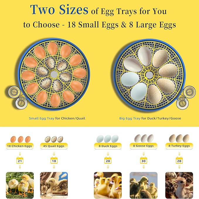 18 Chicken Egg Incubators for Hatching Eggs with Automatic Egg Turning and Humidity Control, High Hatch Rate Poultry Incubator for Chicken, Ducks, Goose, Pigeon, Quail, Ideal for Home, Farm, School
