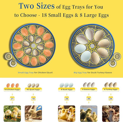 18 Chicken Egg Incubators for Hatching Eggs with Automatic Egg Turning and Humidity Control, High Hatch Rate Poultry Incubator for Chicken, Ducks, Goose, Pigeon, Quail, Ideal for Home, Farm, School