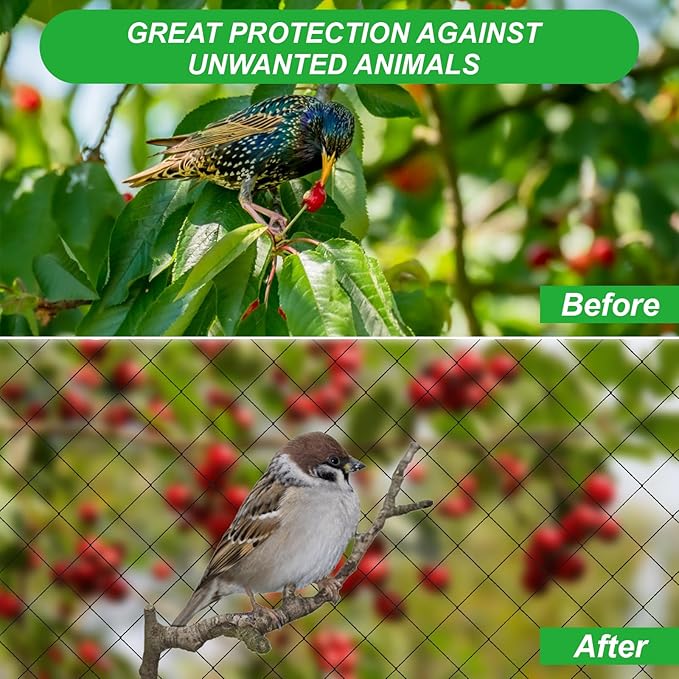 SPORTYOUTH Bird Netting for Garden, 25x50 ft 3/4" Square Mesh Heavy Duty Nylon Chicken Coop Poultry Hawk Aviary Netting for Blueberry Bushes Fruit Trees Vegetable Against Birds Deer Squirrels