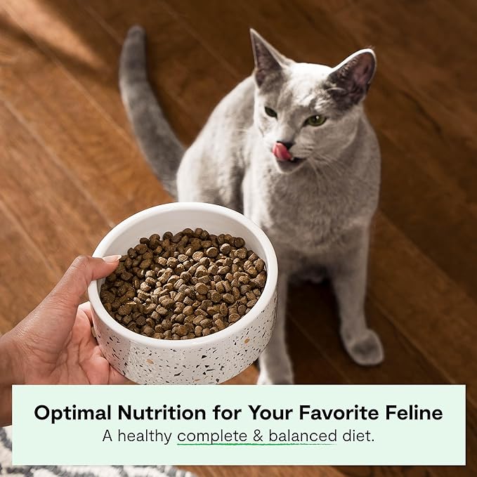 Open Farm, Grain Free Dry Cat Food, High-Protein Kibble for a Complete & Balanced Diet, Non-GMO Fruits & Vegetables, Prebiotic Fibers to Support Digestion, Wild-Caught Salmon Recipe, 4lb Bag