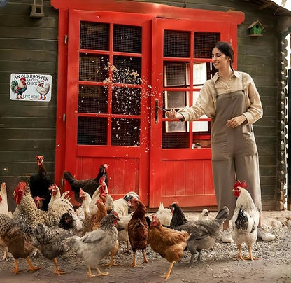 Funny Gifts for Women Chicken Lovers Farm Enthusiasts An Old Rooster And A Cute Chick Live Here Chicken Tin Sign for Chicken Coop Farm Kitchen Garden Yard Decor 8 X 12 Inch (3821)