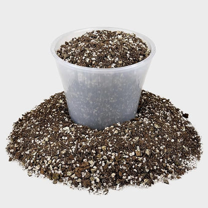 Gardenera African Violets and Gesneriad Premium Soil Mix - Horticultural Perlite (25%) + Vermiculite (25%) + Sphagnum Peat Moss (50%) - Made in USA - (2 Quart Bag)