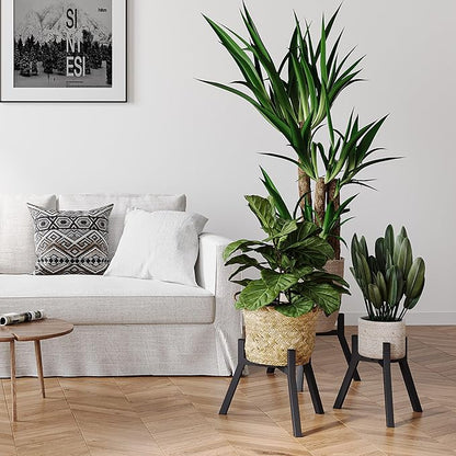 Adjustable Plant Stands Set of 2, Metal Modern Small Plant Holder, Heavy Duty Stable Flower Holder Stand rack for 10-16 Inch Indoor Outdoor Corner Living Room Balcony Office Black PS-007BK-2