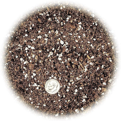 GARDENERA Premium Jade Plant Potting Soil Mix - 10 Quart (2 Bags of 5 Quart)