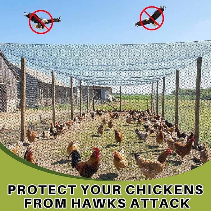 25 x 50 ft Aviary Bird Netting Chicken Netting Commercial Grade Heavy Duty Knotted 2 inch Mesh for Chicken Coops Poultry Blueberries Fruit Trees Net Aviary Gamefowl Garden