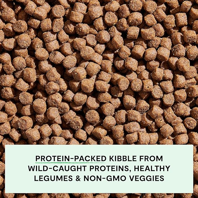 Open Farm, Grain-Free Dry Dog Food, Complete & Balanced Kibble, Sustainably & Ethically Sourced Ingredients, Non-GMO Veggies & Superfoods to Support Overall Health, Wild-Caught Salmon Recipe, 11lb Bag